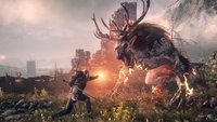 Enttäuscht von The Witcher 3: Was findet ihr eigentlich alle an diesem RPG?