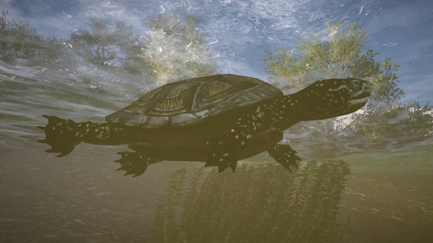 So sehen europäische Sumpfschildkröten in AC Valhalla: Die Belagerung von Paris aus.