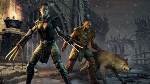 Diablo 2 Resurrected: Multiplayer, Koop und Crossplay erklärt