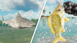 Far Cry 6: Alle Fische & Haie finden - Angeln & Fischerhütte freischalten