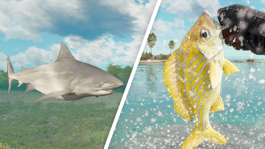 Wir zeigen euch die Fundorte aller Fische und Haie in Far Cry 6.