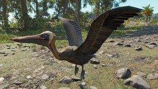 Far Cry 6: Pelikane für "Schocktherapie" finden