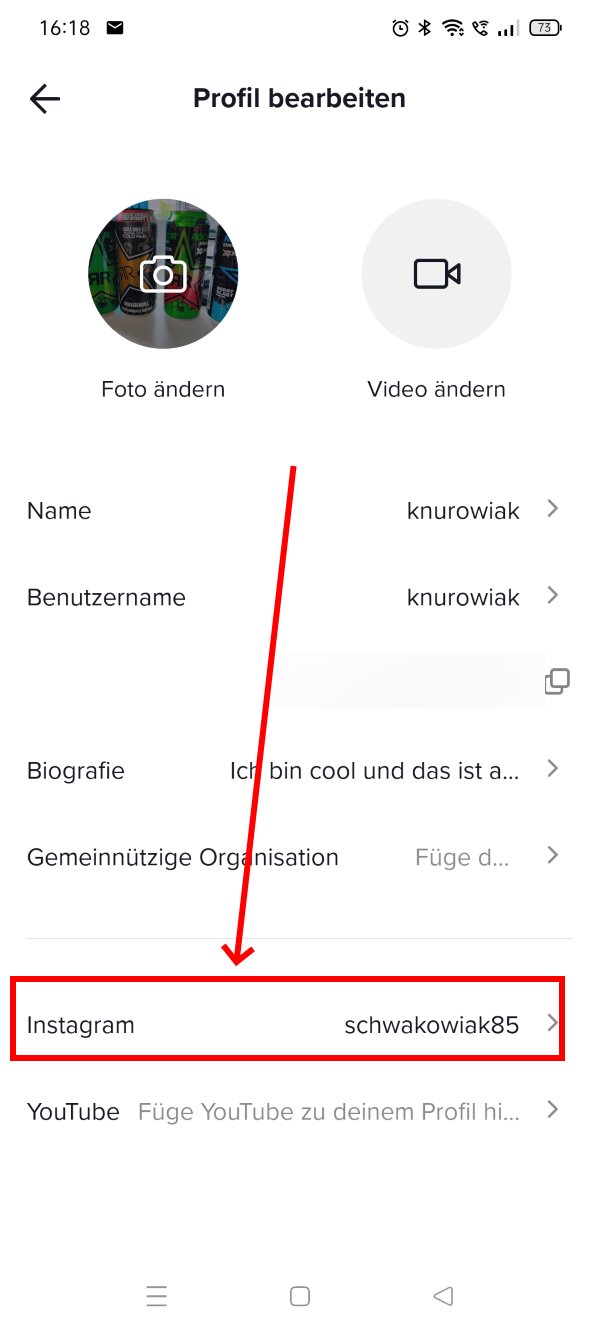 TikTok mit Instagram verbinden so gehts