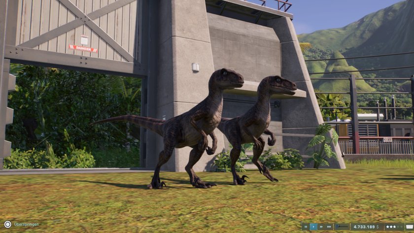 Zwei Raptoren in Jurassic World Evolution 2