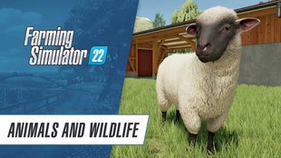 Landwirtschafts-Simulator 22: Tiere kaufen & füttern - Infos zu allen Tierarten