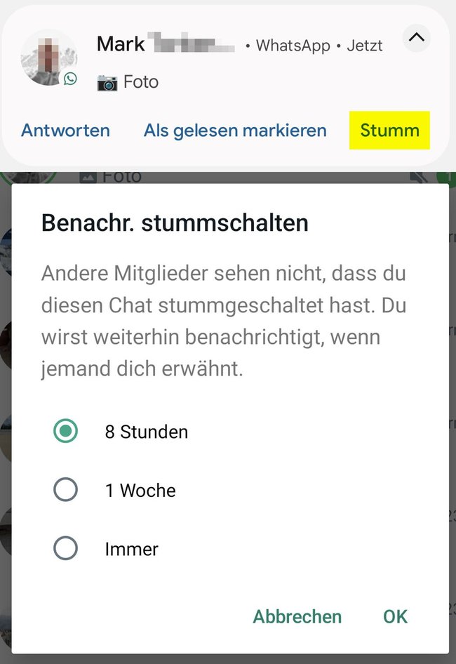 Screenshot aus WhatsApp: Unter einer Chatbenachrichtigung ist auch der Button „Stumm“ zu sehen.