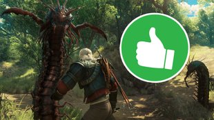 Steam-Comeback für Rollenspiel-Hit: Rückkehr in die Charts hat gute Gründe