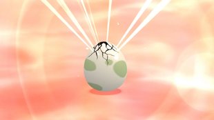 Pokémon - Strahlender Diamant: Eier schneller ausbrüten
