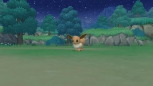 Pokémon - Strahlender Diamant: Evoli fangen und alle Entwicklungen
