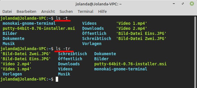 Mit „-t“ werden die jüngsten Daten oben angezeigt. „-tr“ zeigt die ältesten Daten oben an. (Bildquelle: GIGA)