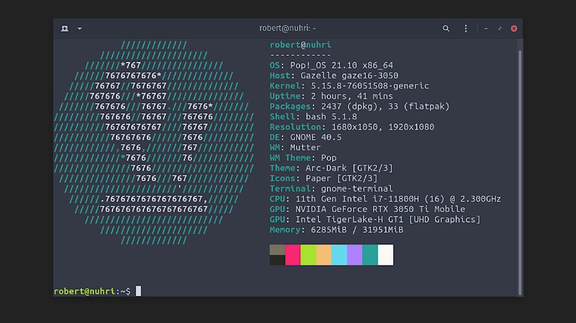 Neofetch zeigt wichtige Systeminfos im Terminal an. Bild: GIGA