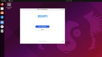 Wie Zoom in Linux installieren und starten?