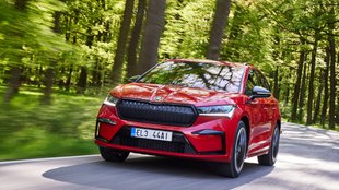 Skoda-Chef macht Hoffnung: So günstig könnten E-Autos bald sein