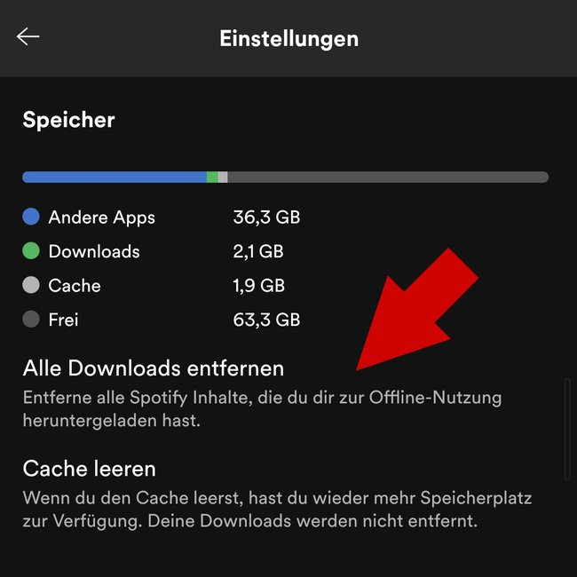 Spotify alle Downloads entfernen App