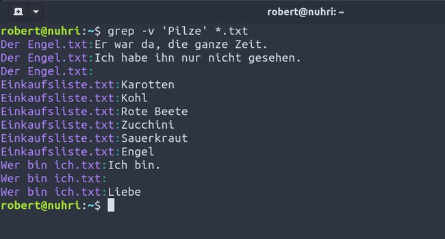 „Grep -v“ zeigt alle Zeilen aller gefundenen Dateien an, die das Suchwort nicht enthalten. Bild: GIGA