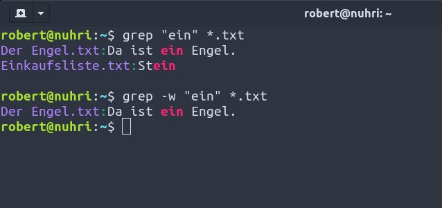 „Grep -w“ sucht hier nur nach ganzen Wörtern. Bild: GIGA