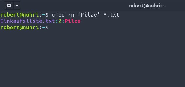 „Grep -n“ zeigt auch die Zeilennummer der gefundenen Textstelle an. Bild: GIGA