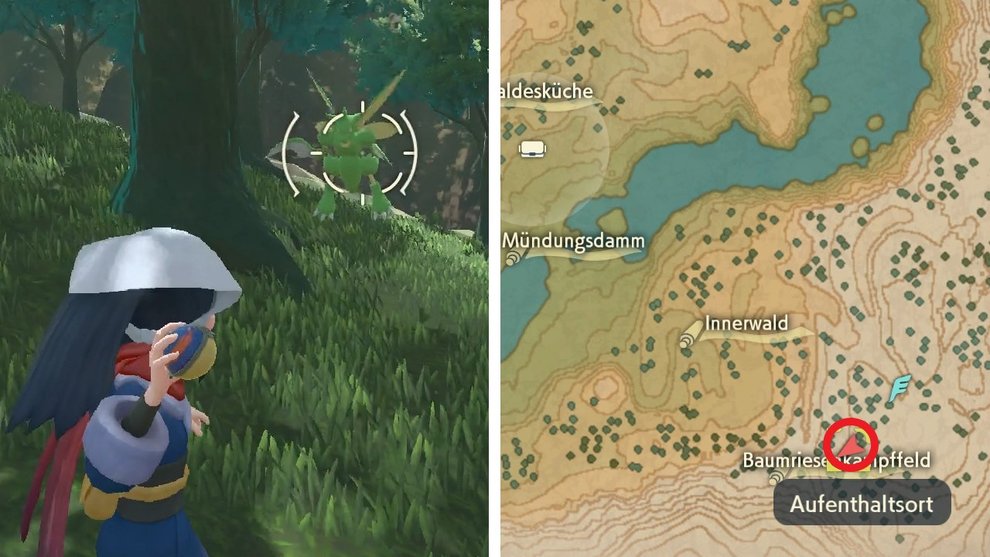 Scyther locations are at the Giant Tree Battlefield (Pokémon Legends: Arceus).