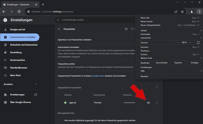 Chrome Passwort anzeigen PC Browser