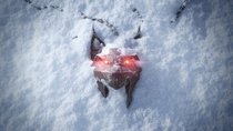 The Witcher 4: Entwickler bekräftigt Fan-Theorie