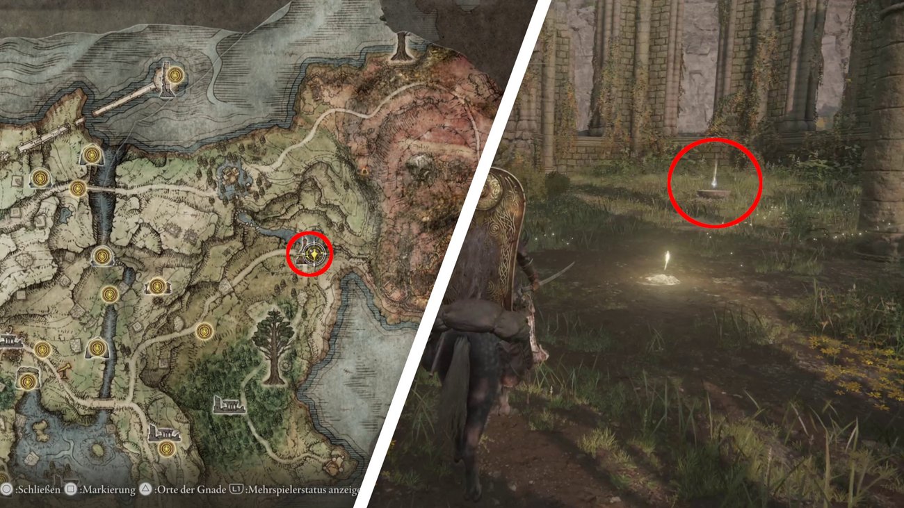 Elden Ring Alle 40 Kristalltränen für die Arzneimischung (inkl. DLC)