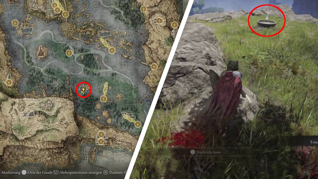 Elden Ring Alle 40 Kristalltränen für die Arzneimischung (inkl. DLC)