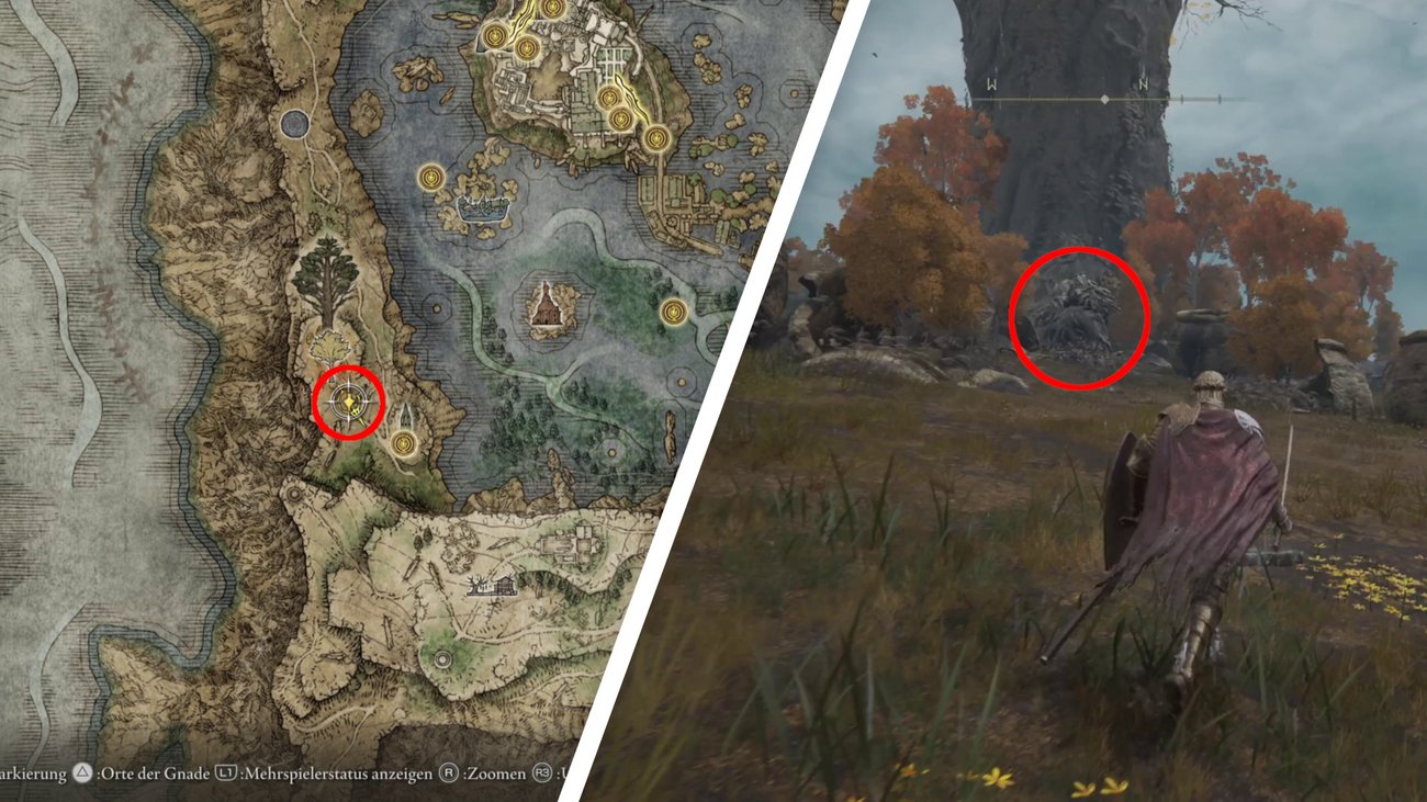 Elden Ring Alle 40 Kristalltränen für die Arzneimischung (inkl. DLC)