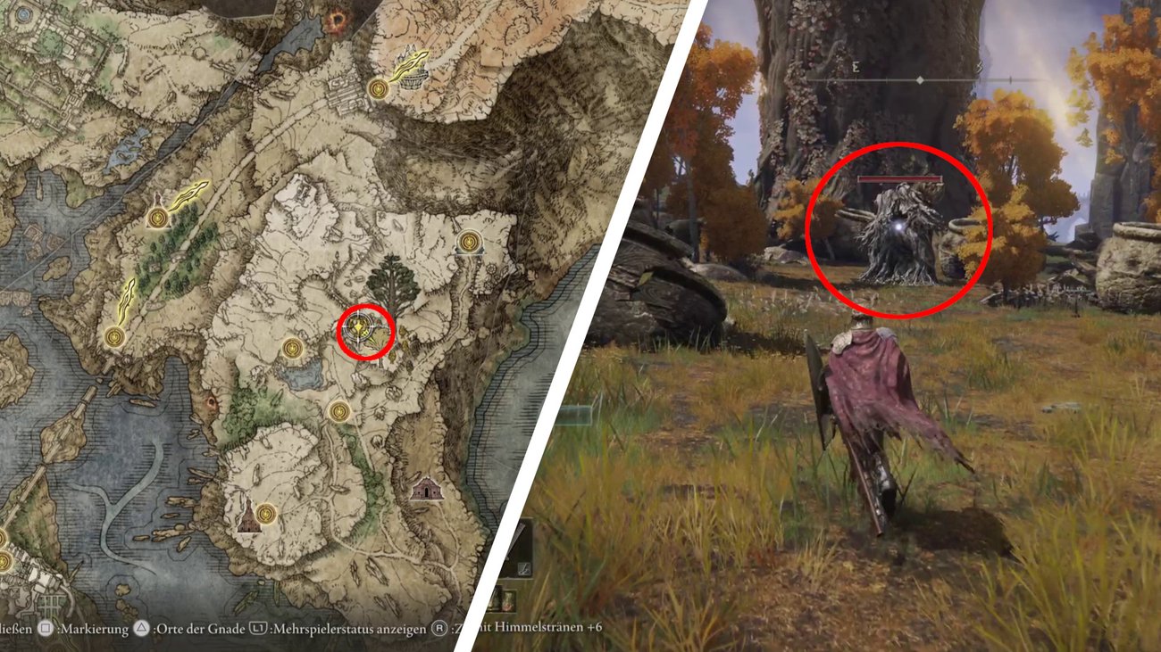 Elden Ring Alle 40 Kristalltränen für die Arzneimischung (inkl. DLC)