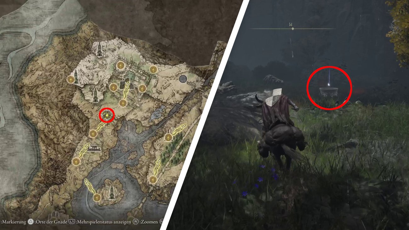 Elden Ring Alle 40 Kristalltränen für die Arzneimischung (inkl. DLC)