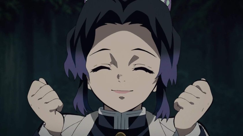 Demon Slayer Shinobu Ara Ara