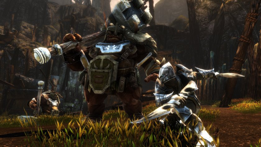 Kingdom of Amalur Re-Reckoning auf Steam