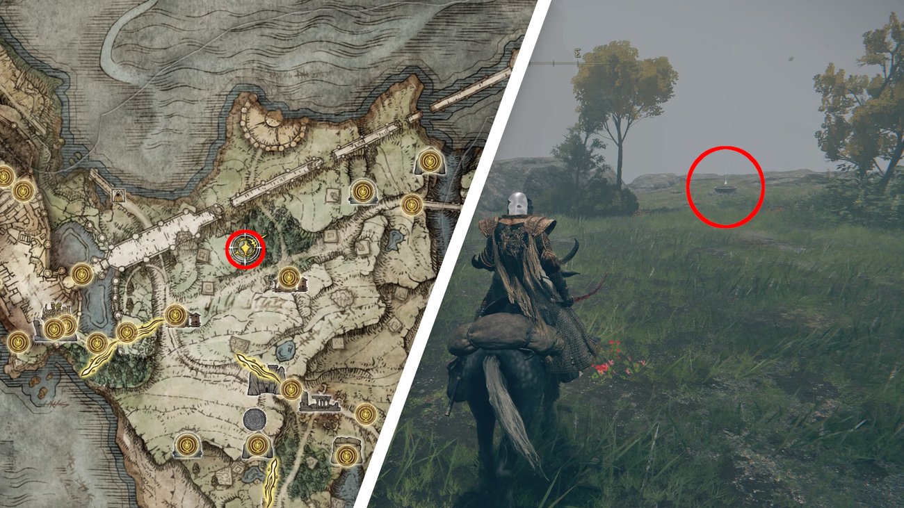 Elden Ring Alle 40 Kristalltränen für die Arzneimischung (inkl. DLC)