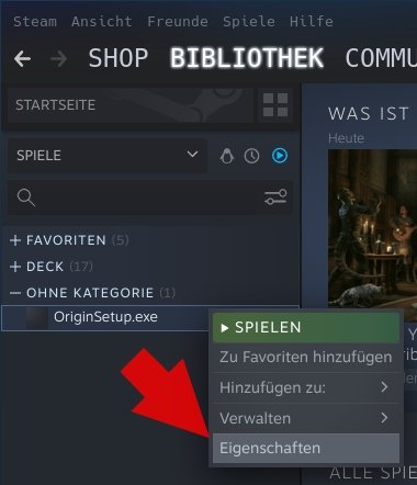 Steam Deck Bibliothek Eigenschaften q_giga