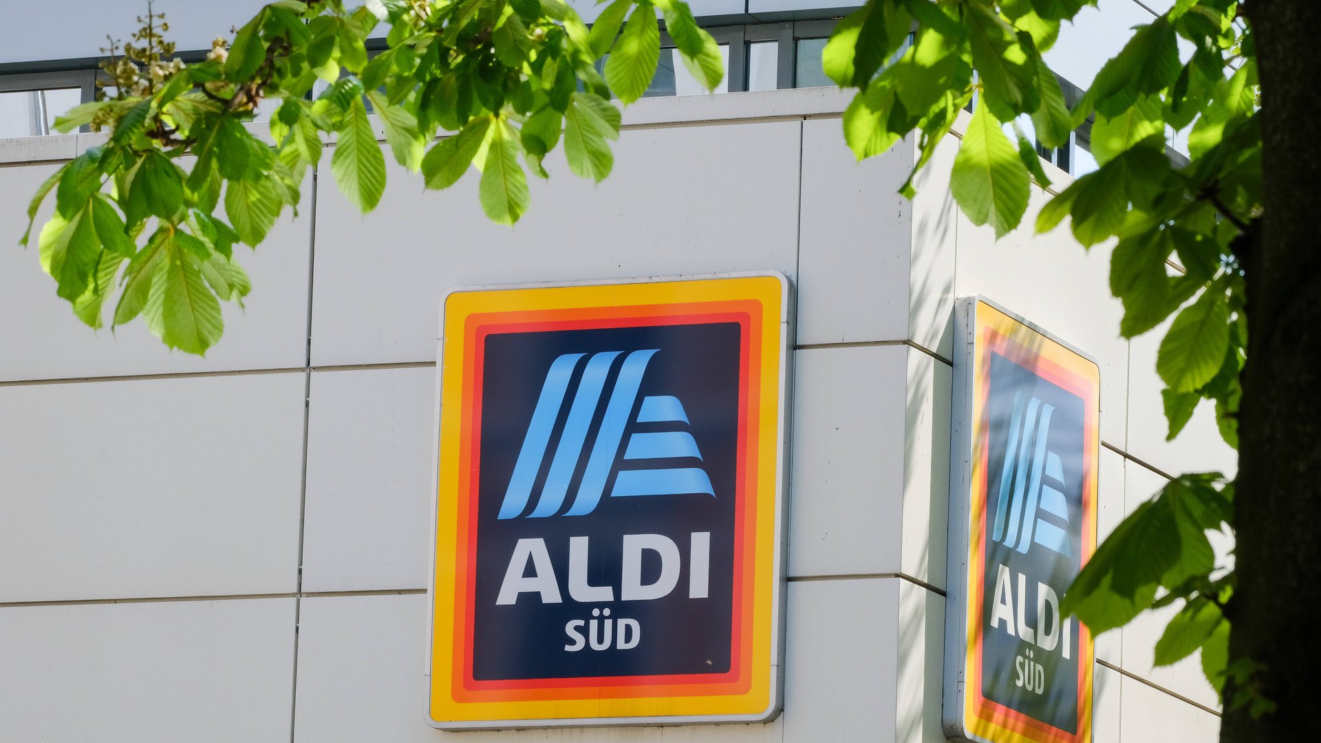 Aldi verlangt 12 Euro Eintritt? Das hat es wirklich damit auf sich