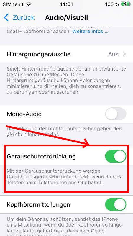 Geräuschunterdrückung iPhone