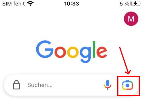 Google Lens iPhone