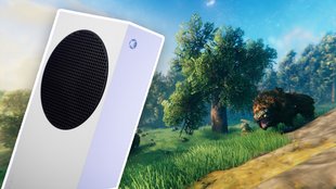 Xbox zieht nach: Steam-Survival-Hit landet endlich auf der Microsoft-Konsole