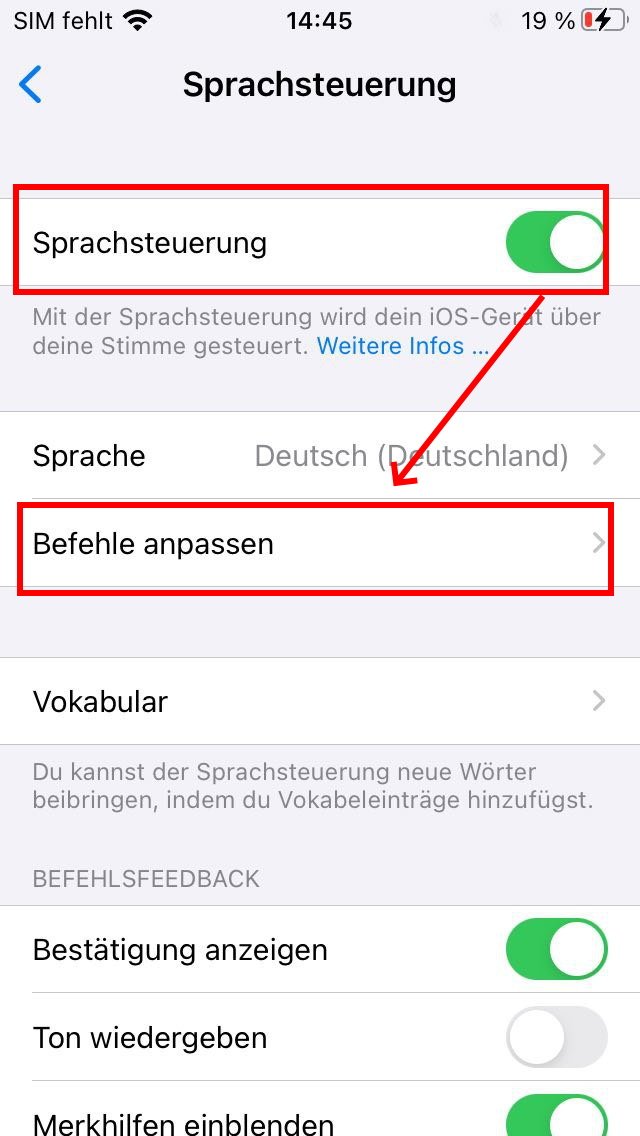 iPhone Sprachsteuerung