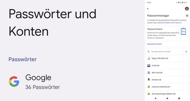 Anzeige der Liste von Zugängen im Google-Passweortmanager - Beschreibung der Schritte unten