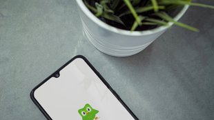 Duolingo: Offline-Modus – so funktioniert der Download