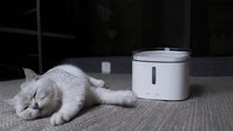 Xiaomi für Haustiere: Neue Smart-Home-Produkte speziell für Hunde und Katzen