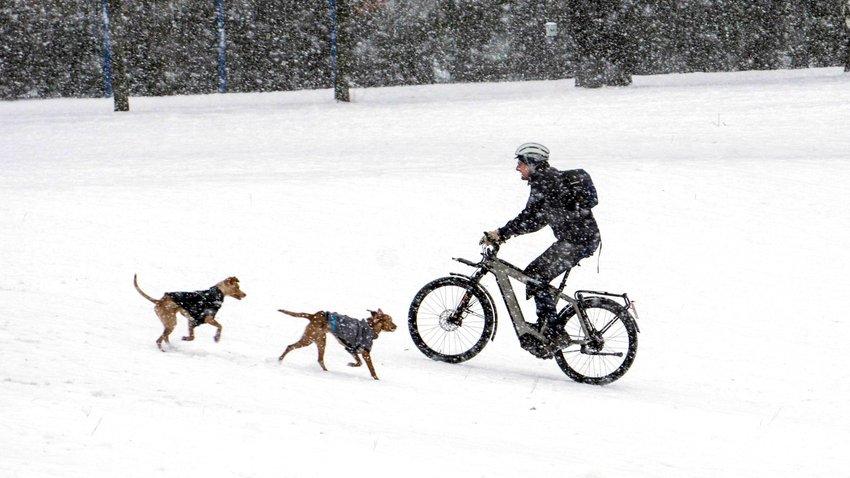 winter e bike hunde schnee