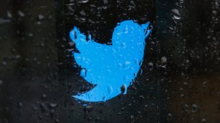 Twitter: Daten & Tweets exportieren und retten
