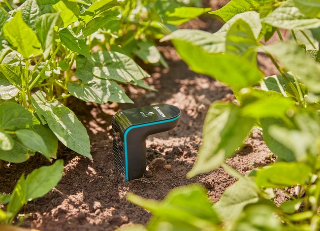 In einem Beet steckt ein schwarzblauer Sensor der Marke Gardena, der die Gegebenheiten des Bodens misst.