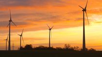 Windenergie für alle: Diese Blumen-Turbine passt auf jedes Hausdach