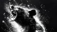 Cocaine Bear wird mein Film des Jahres – aus diesem Grund
