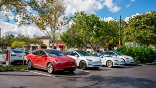 Tesla feiert E-Autos, doch Familienfoto zeigt bittere Wahrheit ungeschminkt
