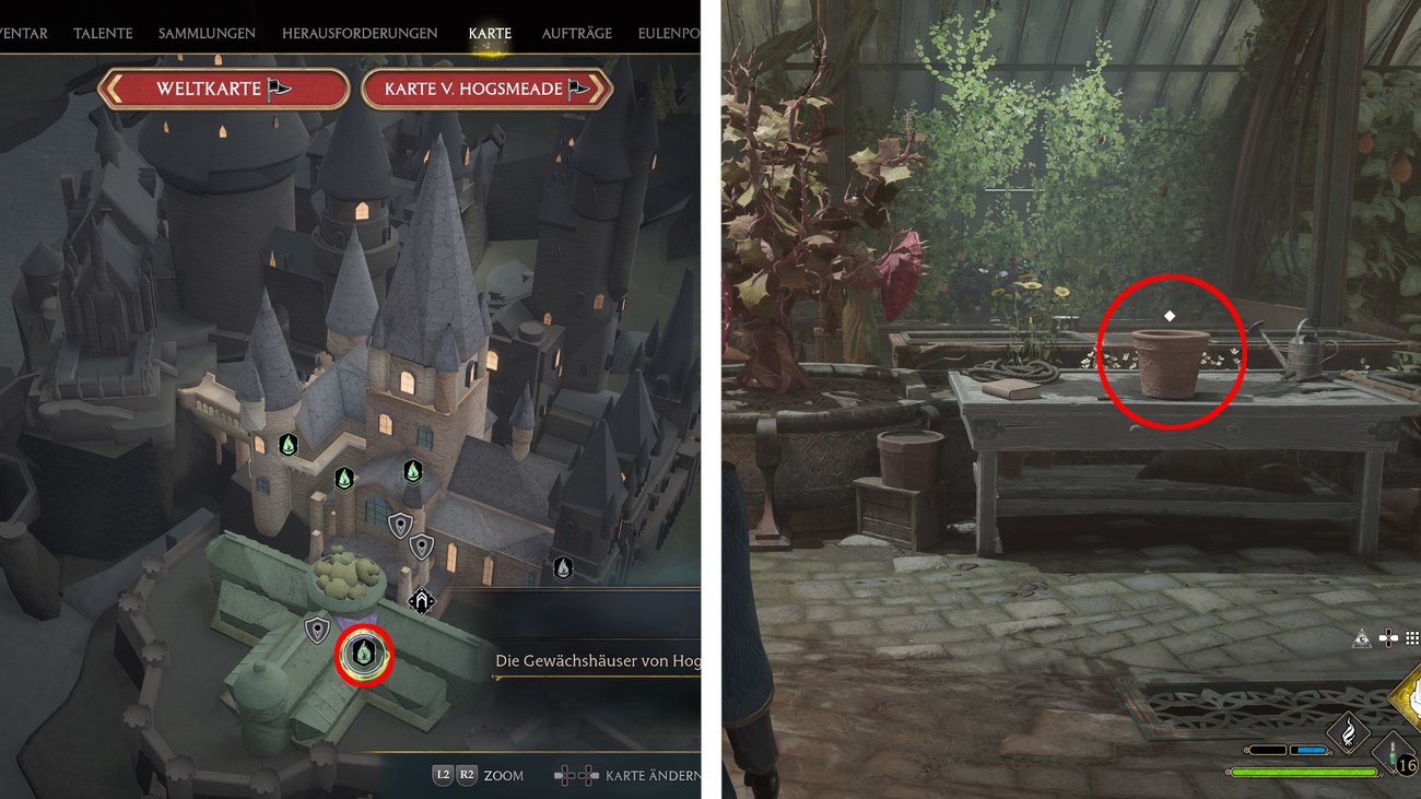 Hogwarts Legacy Venemosa Tentacula und Alraune finden
