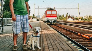 Deutsche Bahn: Hundeticket online & per App buchen