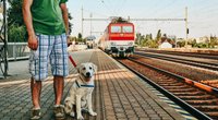 Deutsche Bahn: Hundeticket online & per App buchen
